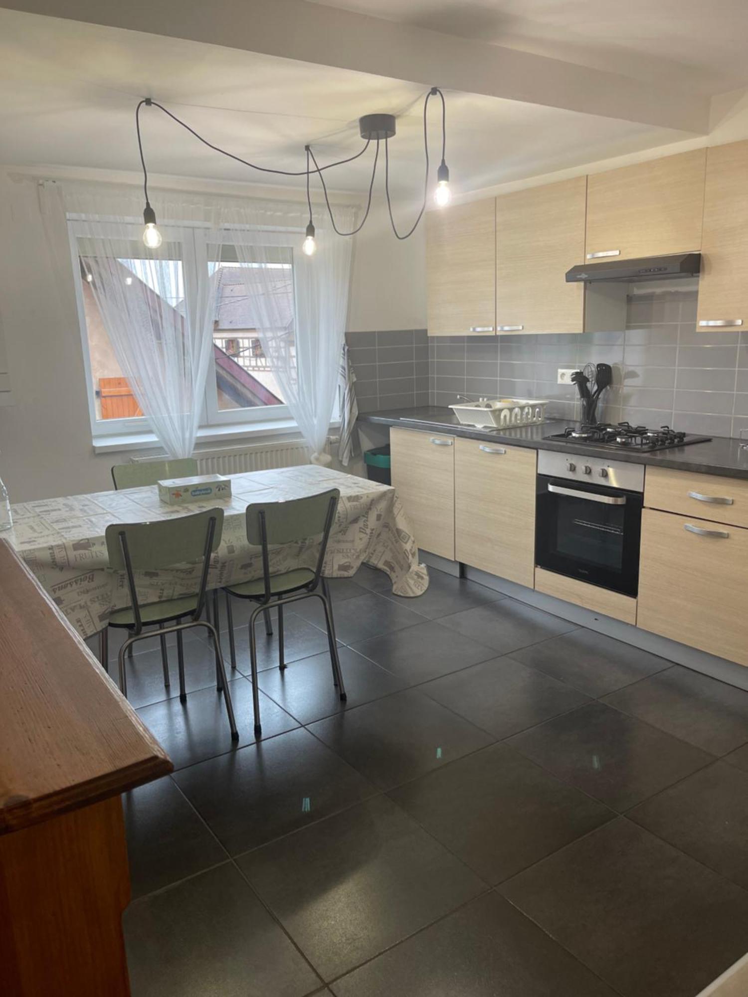 Appartement Centre Alsace Gertwiller Kültér fotó