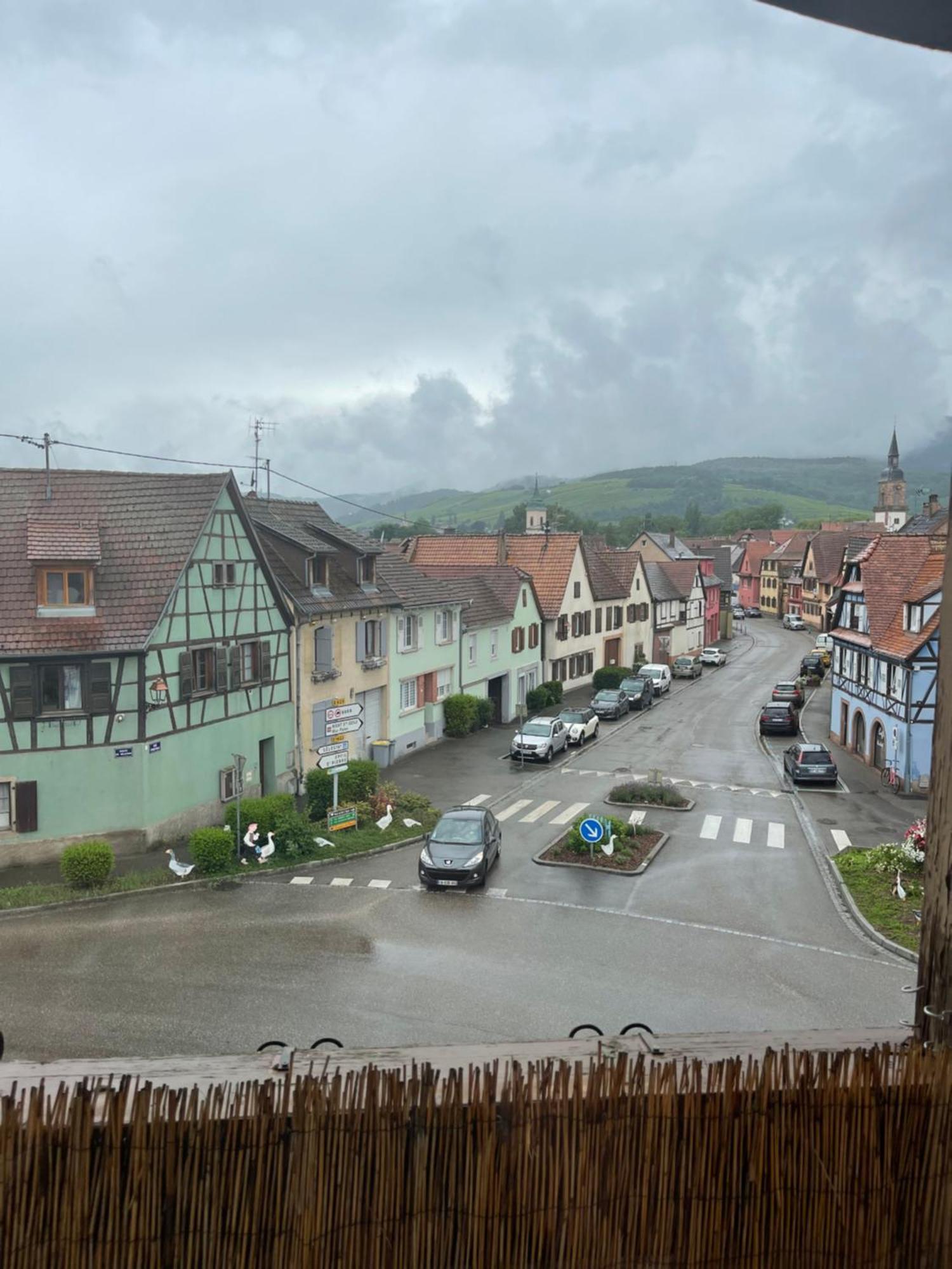 Appartement Centre Alsace Gertwiller Kültér fotó